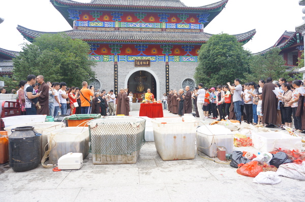 中国首届夏至护生节祈福法会在正觉古寺举行