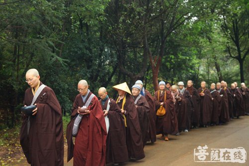 抚州大金山寺三坛大戒圆满：发戒牒谢师
