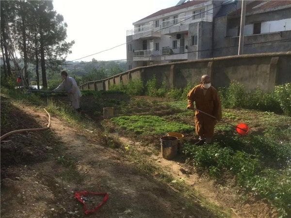 农禅并重勤劳作 抢抓农时春耕忙丨湖北省佛教寺院农禅图景