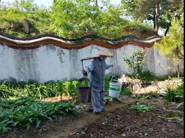 农禅并重勤劳作 抢抓农时春耕忙丨湖北省佛教寺院农禅图景