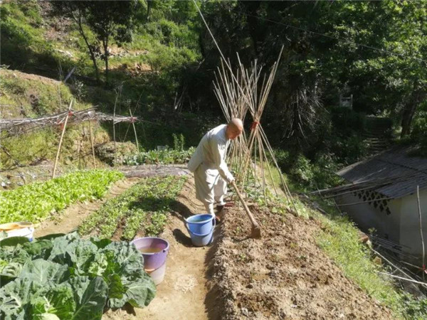 农禅并重勤劳作 抢抓农时春耕忙丨湖北省佛教寺院农禅图景