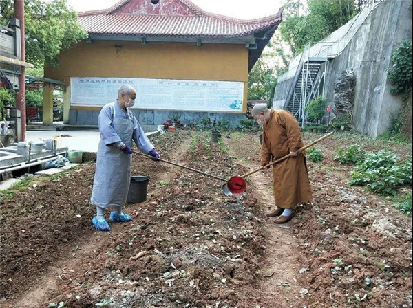 农禅并重勤劳作 抢抓农时春耕忙丨湖北省佛教寺院农禅图景