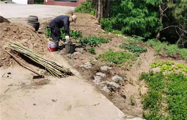 农禅并重勤劳作 抢抓农时春耕忙丨湖北省佛教寺院农禅图景