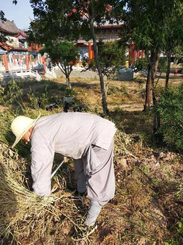 农禅并重勤劳作 抢抓农时春耕忙丨湖北省佛教寺院农禅图景