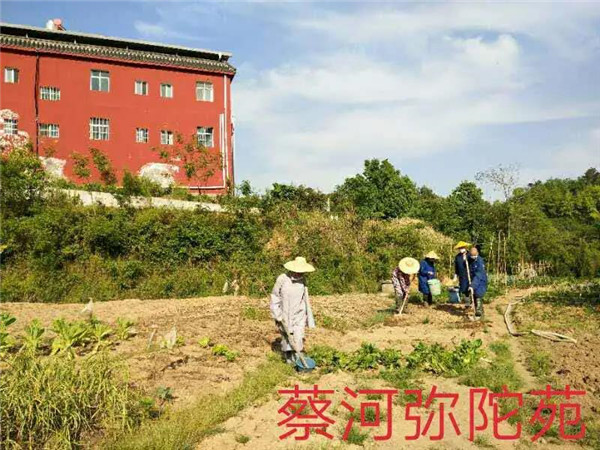 农禅并重勤劳作 抢抓农时春耕忙丨湖北省佛教寺院农禅图景