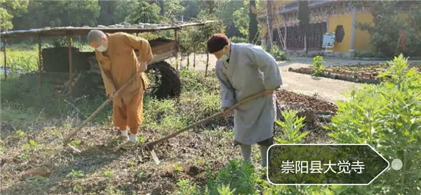 农禅并重勤劳作 抢抓农时春耕忙丨湖北省佛教寺院农禅图景